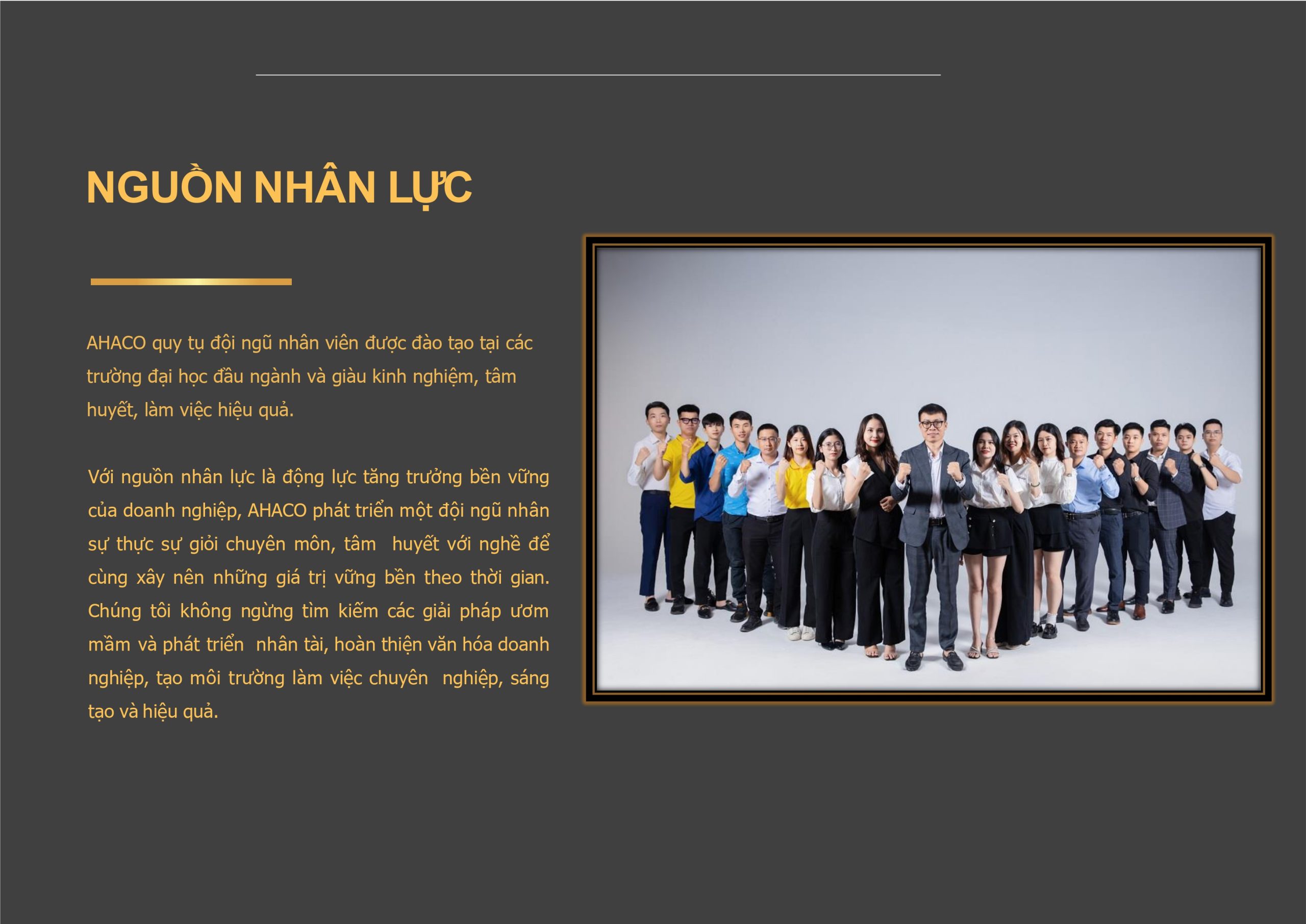 Profile Ahaco 2_page-0006
