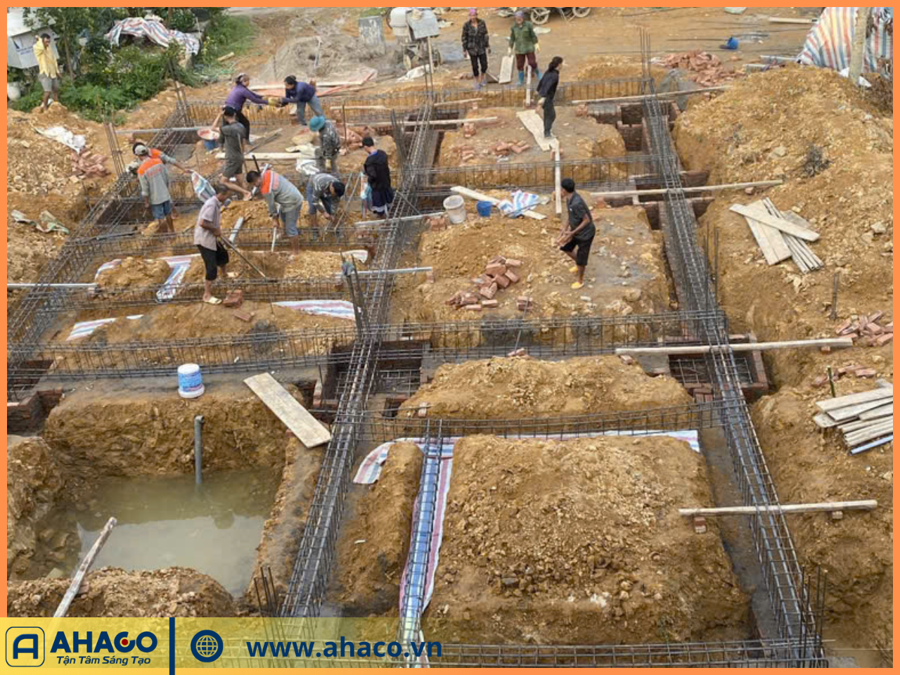 ảnh Của Ahaco Ngang - 2025-10-13t110007.554