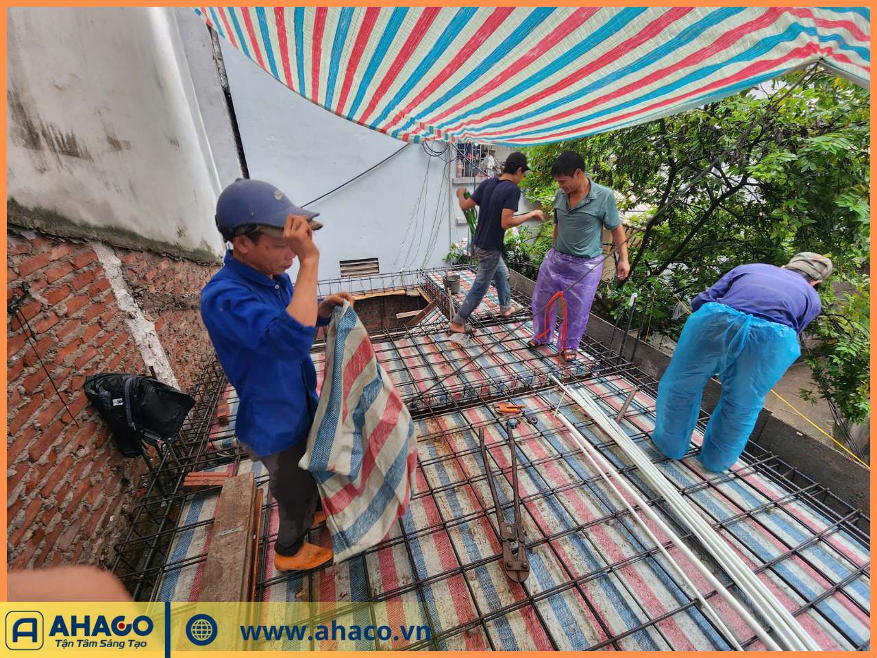 ảnh Của Ahaco Ngang - 2025-11-22t095750.768